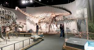Denver Museum Of Nature And Science Blue Star Museum Fort Carson Mountaineer
