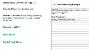 Try setting up a punnett square type arrangement using the 3 genotypes. Hardy Weinberg Ppt Video Online Download