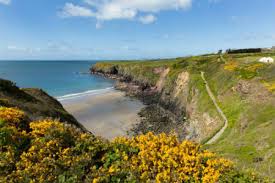 Enjoy golfing the 18 hole donald ross design, golf practice facility, restaurant and tennis facilities. Welsh Country Cottages Country Cottages And Self Catering Cottages In Wales