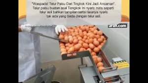 Telur ayam yang sempat diduga palsu yang sempat viral di media sosial (kanan). Telur Palsu Dari China Dijual Di Pasaran Untuk Dimakan Sekoci Hoaxes
