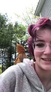 Sophie Bearded Dragon