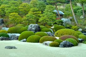 Garden Japanese Design Plants Delightful Water Tea Ideas Garden Japanese Adachi Round P Modern Japanese Garden Japanese Garden Japanese Garden Design