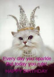 Birthday Quotes Funny Happy Birthday Meme Funny For Her Birthday Queen Kitty Birthday Humor Happy Birthday Meme Happy Birthday Pictures