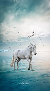 backgrounds hd the most beautiful nature iphone wallpapers nature iphone wallpaper iphone wallpaper neon light wallpaper