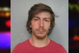 Chandler Lisk — Hall County Jail Bookings