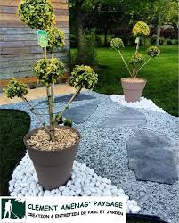 Fusain Pompons Pot Xl Pas Japonais Paillage De Galet Et Ardoise Paillage Jardin Jardin Japonais Amenagement Jardin