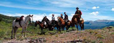 Horse riding holidays in argentina. Argentina And Peruvian Paso Horses For Your Horse Riding Holidays