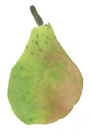 Pear Jpg 632 955 Pixels Fruit Painting Illustration Food Illustration