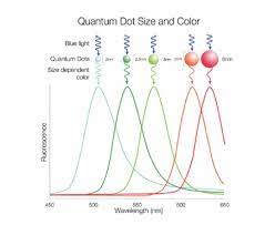 Properties And Applications Of Quantum Dots Cd Bioparticles