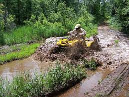 Dead Horse Run Atv Trail Chequamegon Nicolet National Forest Wisconsin Dead Horse Atv Mud Riding