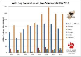 Wild Dog Diaires Wild Dog Management Can Be A Tricky Affair