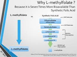 What Are Mthfr Genes Polymorphisms C677t Rs1801133 Selfhacked