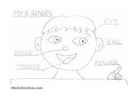 5 senses coloring pages sketch coloring page. Pin On Printable Worksheets For Kids