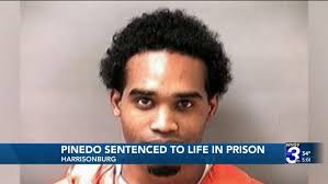 Virginia Internet Law