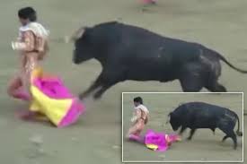 Image result for ivan fandiño