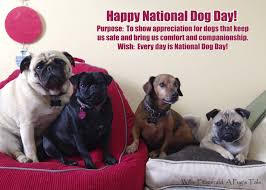 A large number of people are successfully celebrate national dog day. 55 Most Beautiful National Dog Day Greeting Pictures And Photos