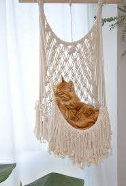 Hangin chairs can be super expensive to buy, but quite cheap to build. Macrame Cat Hammock Bed Ideas You Ll Love The Whoot