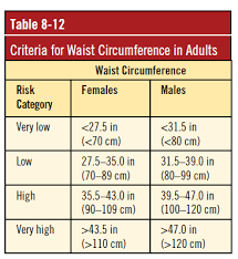 lifestyle 365 part i waist to hip ratio pinnacle