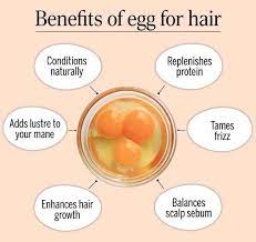 One or two times per week. 6 Beauty Benefits Of Eggs For Hair Care Femina In