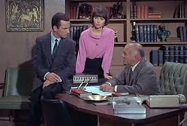 The cone of silence is one of many recurring joke devices from get smart, a 1960s american comedy television series about an inept spy. Interview Barbara Feldon Agent 99 Gives Her Younger Self Some Sound Advice