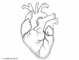 Pin On Nursing School Cheat Sheets