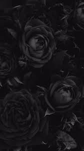Floral Flower Wallpapers Iphone Android Blackwallpaperiphone Floral Wallpapers For Iphone In 2020 Black Roses Wallpaper Cool Black Wallpaper Black Rose
