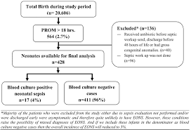 The typical complete sepsis workup in a neonate consists of obtaining a complete white blood cell count with differential, a single blood culture, urine cultures, and a lumbar puncture for cell count and. Https Jidc Org Index Php Journal Article Download 24423714 982