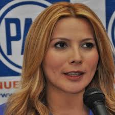 Comisión Anticorrupción del PAN pide expulsar a Arellanes