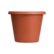 What are some of the most reviewed products in plant pots? The Hc Companies 12 Inch Indoor Outdoor Classic Plastic Flower Pot Container Garden Planter With Molded Rim Drainage Holes Terra Cotta Target