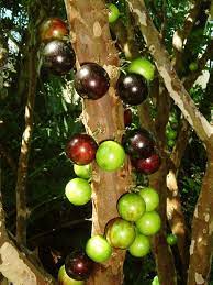 Maybe you would like to learn more about one of these? Beauty Will Save The World