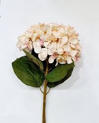 Dai un'occhiata alla raccolta di fiori. Fiori Di Lena Ortensia Gigante Cipria Regal Domus