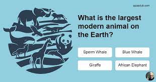 Tune your child's natural curiosity into everyday science lessons. Can You Solve 9 Incredibly Tricky Trivia Quiz Quizzclub