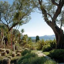 A Typical Sicilian Garden With Cactus And Yuccas In Sicily Temerature Is High Enough Also In Winter A Plants Mediterranean Garden Design Beautiful Gardens