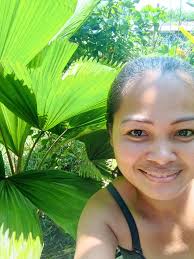 Four o'clock flowers close during the day and open in the afternoon until  the early morning.