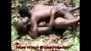 Free porn ape