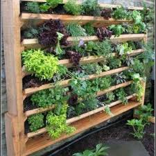 Balkon Hochbeet Selber Bauen Balkon House Und Dekor Galerie Pnwy9g6wbn Vertikaler Gemusegarten Vertikaler Garten Diy Krautergarten Design