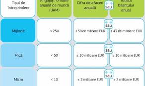 Cifra de afaceri si profitul sunt ambele termeni care apar în bilanțul firmei. Util Cum Te Incadrezi In Categoriile Imm Pentru A Putea Obtine Fonduri Europene Descarca Manualul Complet