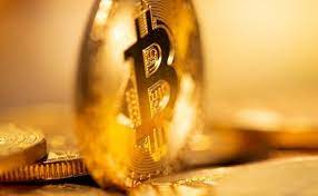 The exchange claims to have over one lakh active users and offers more than 200. A Step By Step Guide To Invest Trade In Cryptocurrency In India