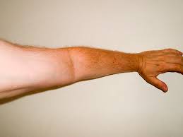 Dia memiliki lengan dan kaki yang panjang. Lengan Definition And Synonyms Of Lengan In The Malay Dictionary