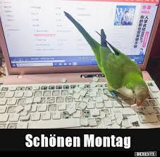 Schonen Montag Lustige Bilder Spruche Witze Echt Lustig