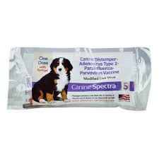 Dog model pictures are real shots. Durvet Canine Spectra 5 Single Dose With Syringe 40481 At Tractor Supply Co