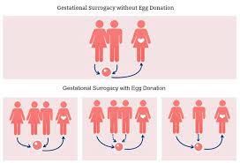 I mean, you let dulce believe you talked me into this surrogacy thing. Inclusive Surrogacy Surrogacy Surrogacy Gestational Surrogate Mother