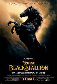 Fighting stallion, the movie poster film poster one sheet. The Young Black Stallion 2003 Imdb