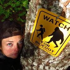 Bigfoot 200 2015 live tracker by trackleaders.com