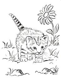 Realistic coloring pages to print. 30 Free Printable Kitten Coloring Pages Kitty Coloring Sheets
