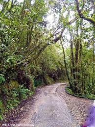 Contact the mossy forest cafe on messenger. File Walking Into Mossy Forest Cameron Highlands Jpg Wikimedia Commons