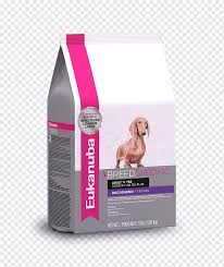 Dachshund Chihuahua Kopek Yavrusu Yorkshire Terrier Dandie Dinmont Terrier Kopek Mamasi Hayvanlar Evde Beslenen Hayvan Kopek Memeli Gibi Png Pngwing