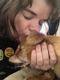 Grief and support for loss of a beloved pet