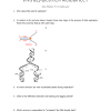 • dna replication starts at many points in eukaryotic chromosomes. 1