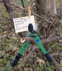 Check spelling or type a new query. Midwest Cold Damage Masks Vine Trunk Diseases Fruit Growers News